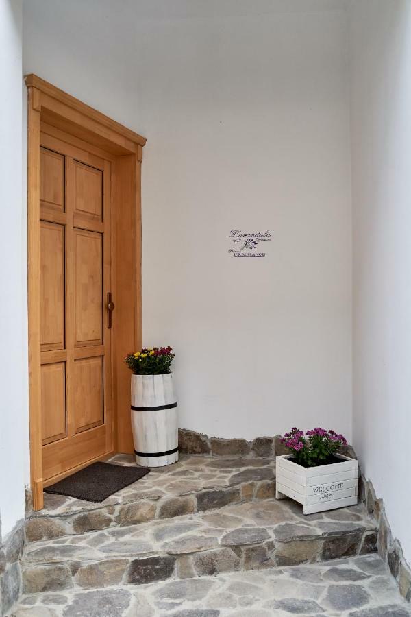 Lavand House Vişeu de Sus 외부 사진