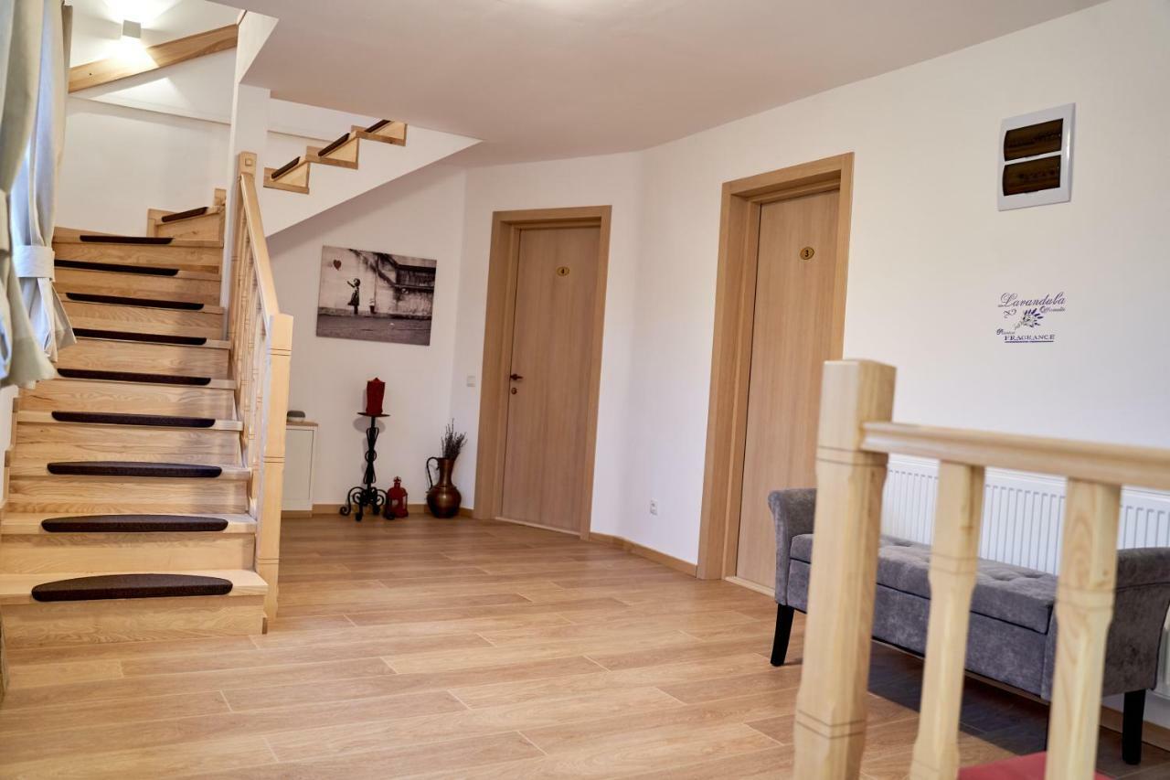 Lavand House Vişeu de Sus 외부 사진