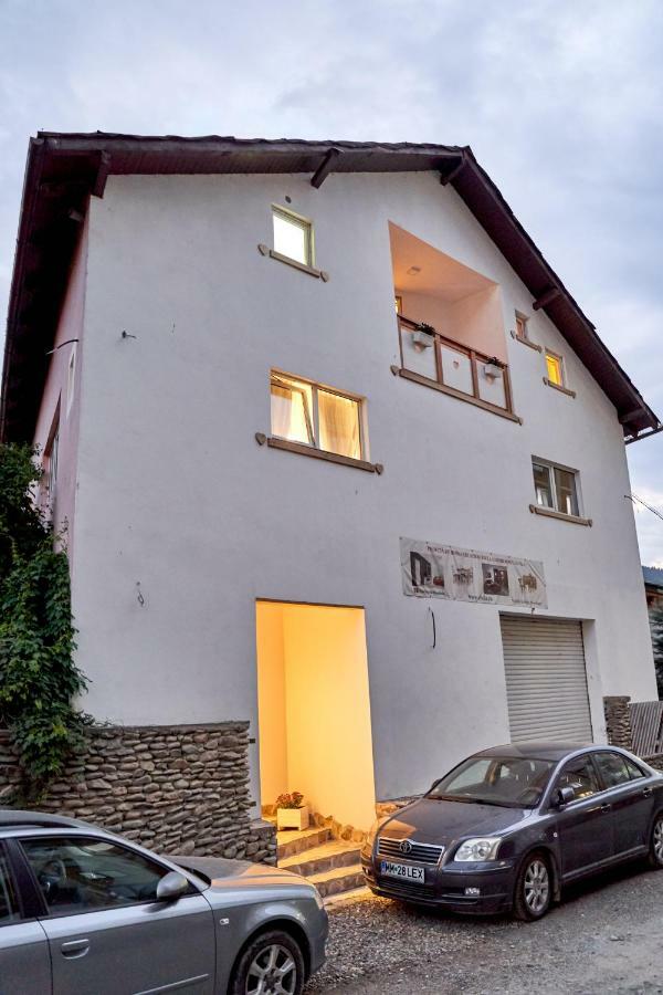 Lavand House Vişeu de Sus 외부 사진