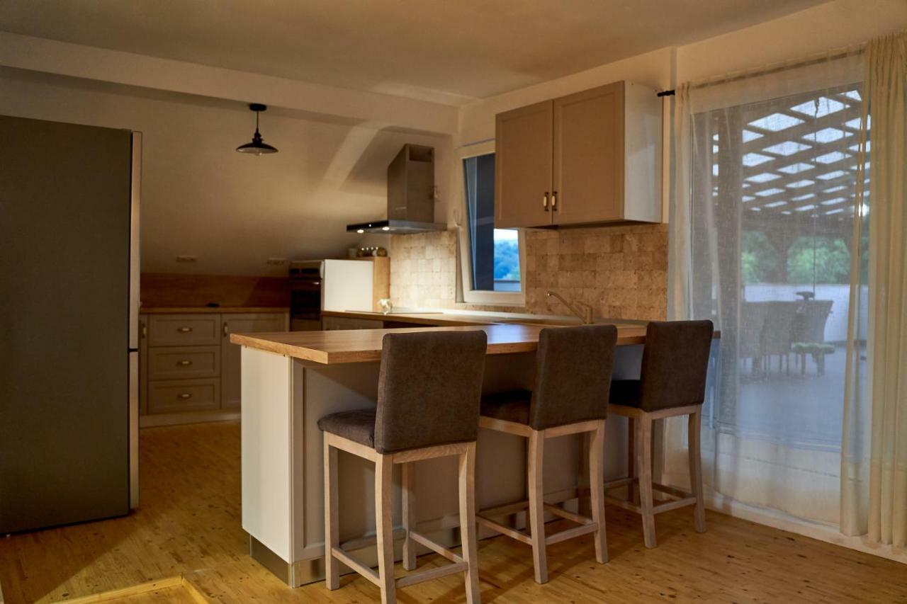 Lavand House Vişeu de Sus 외부 사진