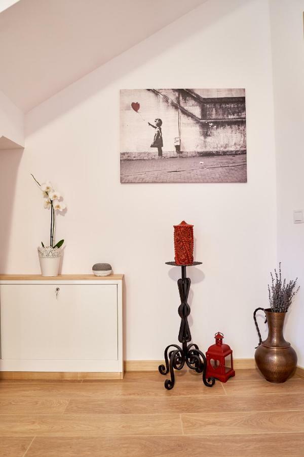 Lavand House Vişeu de Sus 외부 사진