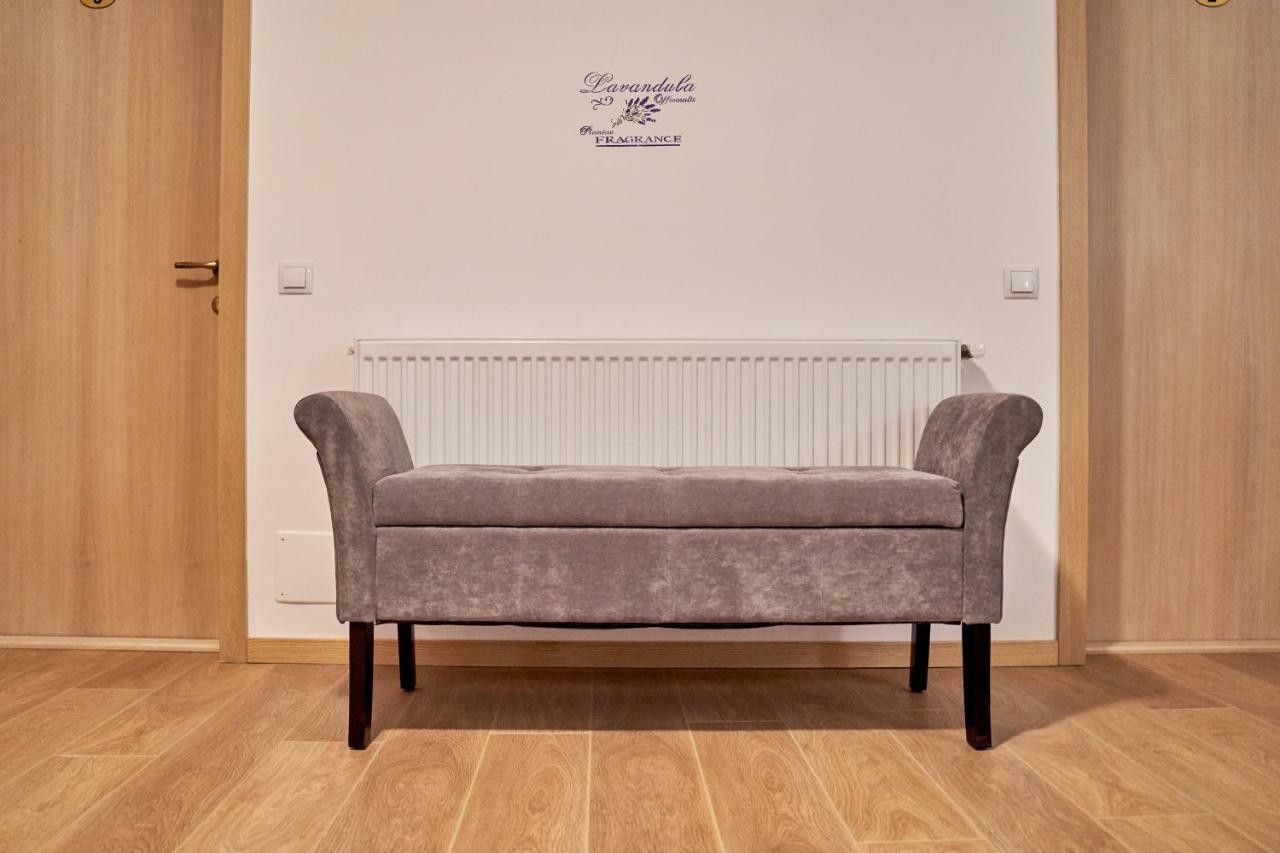 Lavand House Vişeu de Sus 외부 사진