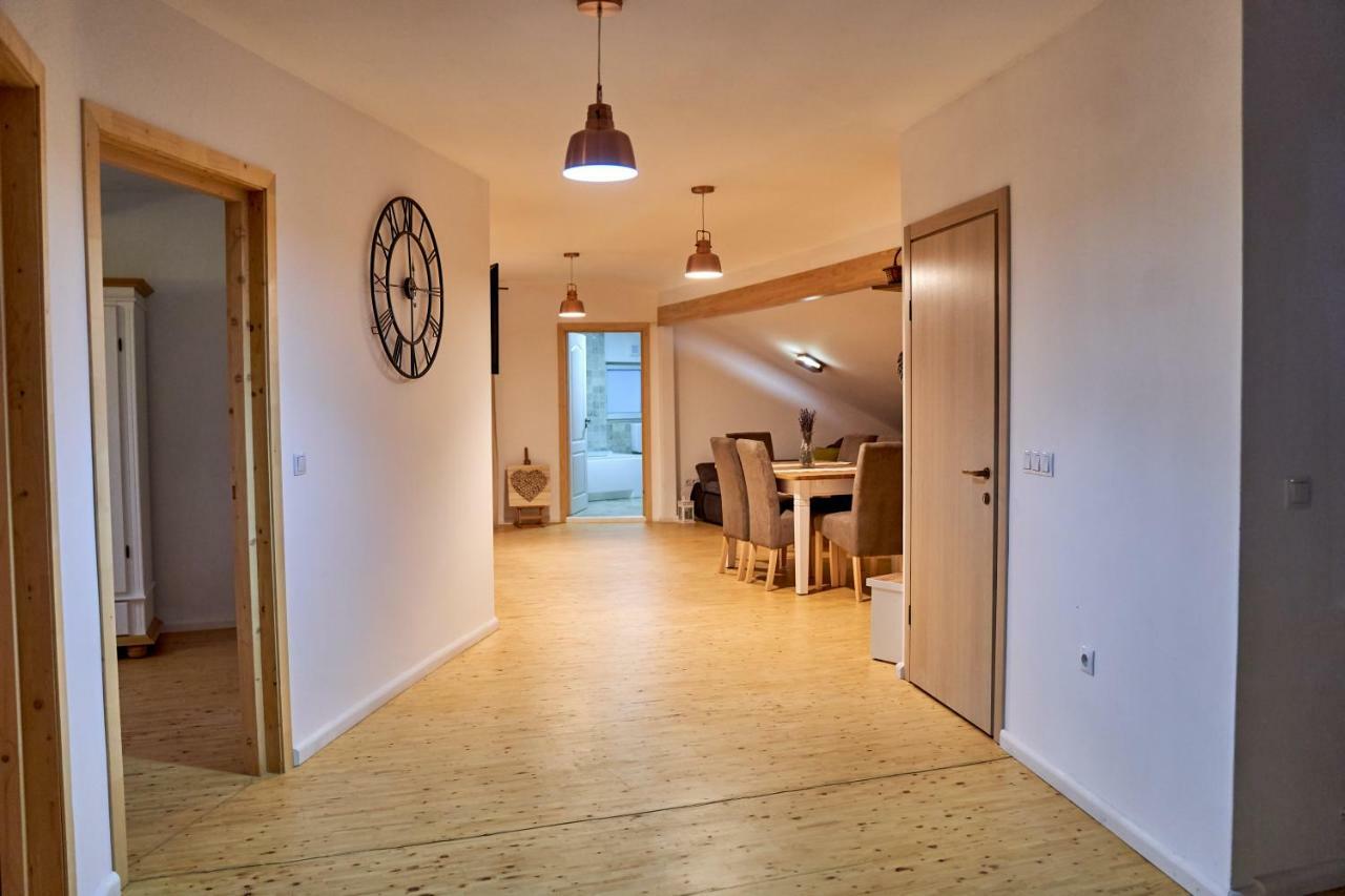 Lavand House Vişeu de Sus 외부 사진